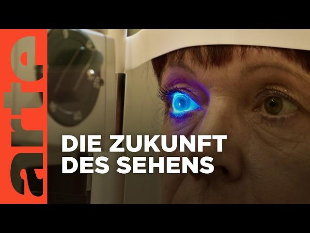 Das Auge - Forschung Sehen | Doku HD Reupload | ARTE