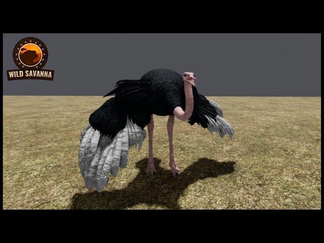 Roblox Wild Savanna - Ostrich Animations - Recode Sneak Peek