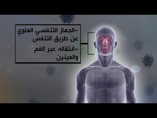 ما هي المراحل التي يمر عبرها فيروس كورونا قبل إصابة الإنسان به؟