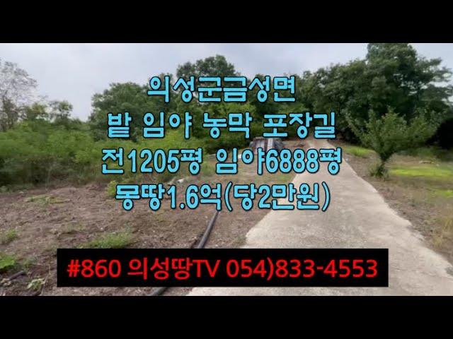 #860 의성땅TV 자두밭 임야 농막 (방2 주방 수세식화장실) 창고 거주가능 8093평 (전1205평 임야6888평) 합1.6억 (당2만) 포장도로 건축가능 #의성땅#의성임야