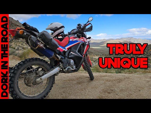 Honda CRF300L Rally 1 Year Review: There's NOTHING Else Like It...