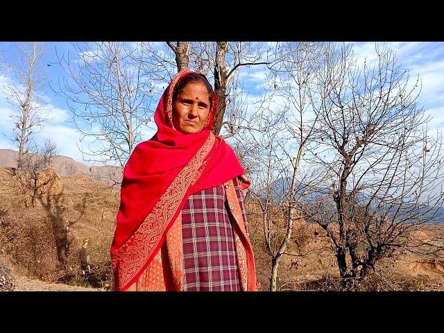 Beautiful Village Life Of Charoaudi And Chaparu Villages️ In Jammu Kashmir