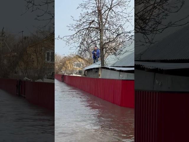 Разлив реки Урал, Южный Урал, СНТ Восход, ул. Полевая. Эвакуация человека