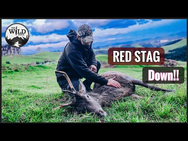 RED STAG AND WILD RABBIT | HOW TO COOK WILD RABBIT