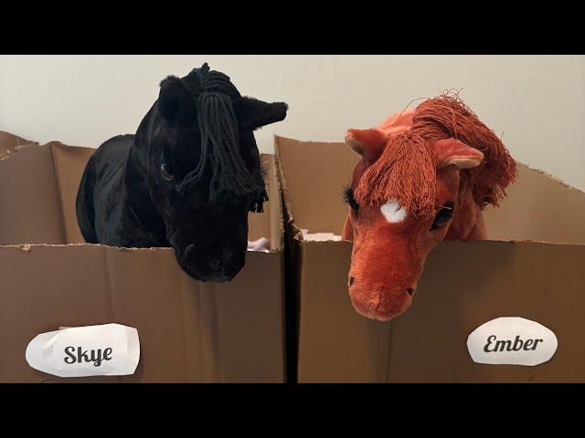 Morning routine with the ponies!! | LeMieux Toy Ponies