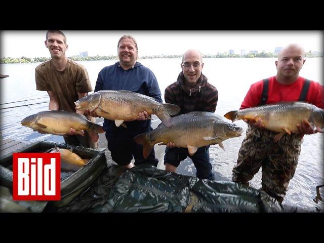 Karpfen und Zander vorm Atlantic - Angler-Glück an der Alster ( Fisch / Petri / Heil )