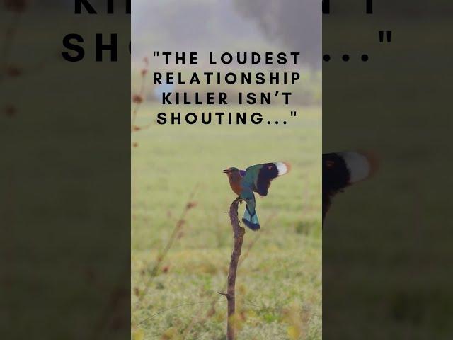 The loudest relationship killer isn’t.... #loud #relationshipwisdom #viralshorts