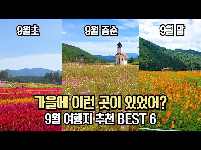 국내 여행 추천 놓치면 후회할 9월 가을 여행 명소 BEST 6