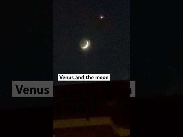 I caught this last night not knowing it was Venus and the moon