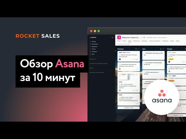 Обзор Asana за 10 минут. Платформа для управления компанией.