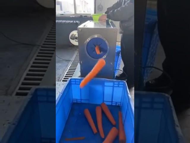 Carrot peeling machine, we are in the workshop for customers to test the machine #Carrot #machine