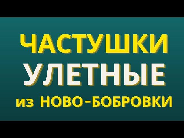 Частушки смешные от Екатерины Степановны решают проблемы с настроением | Гармонист Владимир Кузнецов