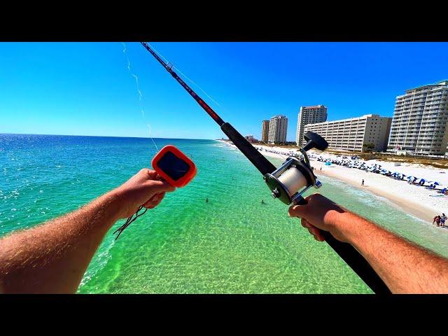 Dropping a GoPro Under a Popular Fishing Pier (Wild)