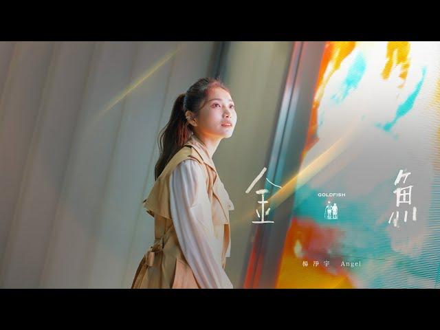 ‖ MV ‖ 楊淨宇Angel【金魚Goldfish】Official Music Video 民視八點檔 市井豪門 插曲@angel_yang0327