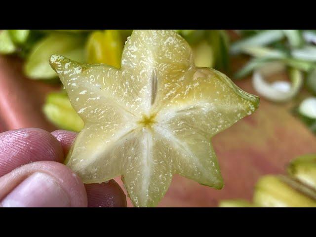 अमरक या कमरक जो भी हो खट्टा बहुत होता है | Star Fruit | Sour Fruit