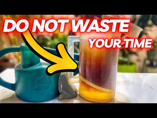 Compost Tea... Biggest LIE Ever Told To Gardeners