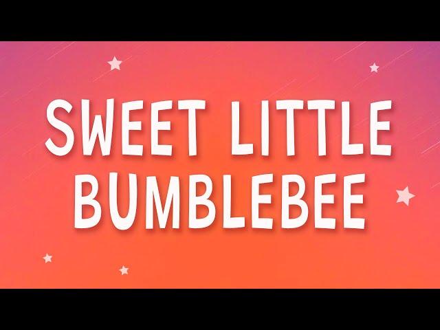 Bambee - Sweet little bumblebee (Bumble Bee) (Sped Up) (Lyrics)