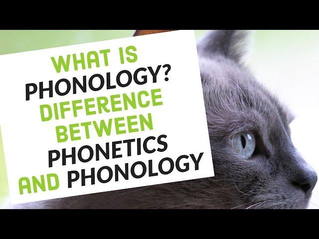 What is Phonology | Difference Between Phonetics And Phonology |Natural Class of Sounds [Urdu/Hindi]