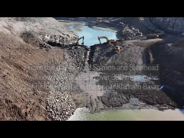 Salmon Return to the Klamath River