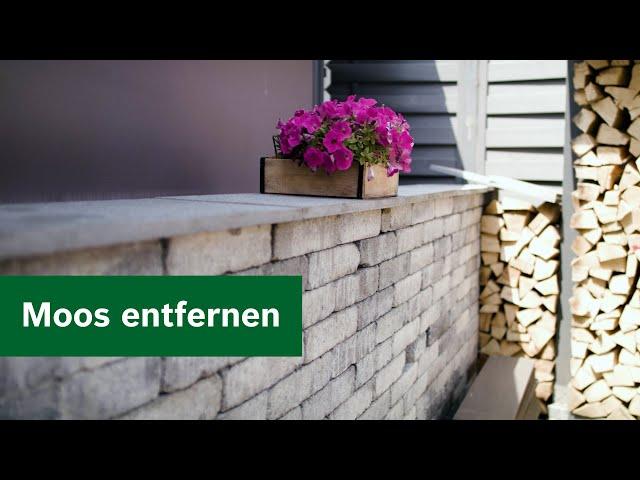 Garten-Wissen: Moos effektiv entfernen