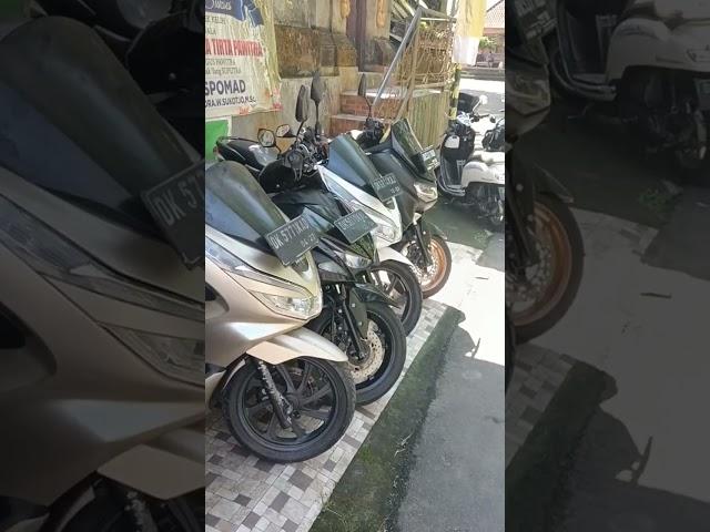 Как взять мотоцикл в аренду на Бали, советы по выбору и хитрости