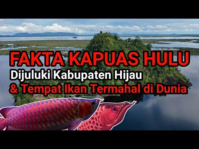 KABUPATEN HIJAU! Inilah Fakta Tersembunyi di Kapuas Hulu Kalimantan Barat