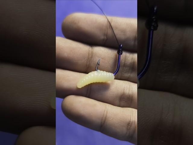 Easy Way to Put Fishing Bait on the Hook #shorts #fishing #tutorial