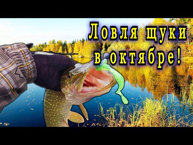 Секреты ловли щуки в октябре Как ловить щуку в октябре все нюансы в одном видео