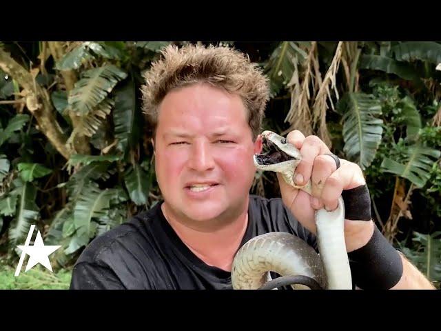 Dingo Dinkelman, YouTube Reptile Handler, Dead After Snake Bite