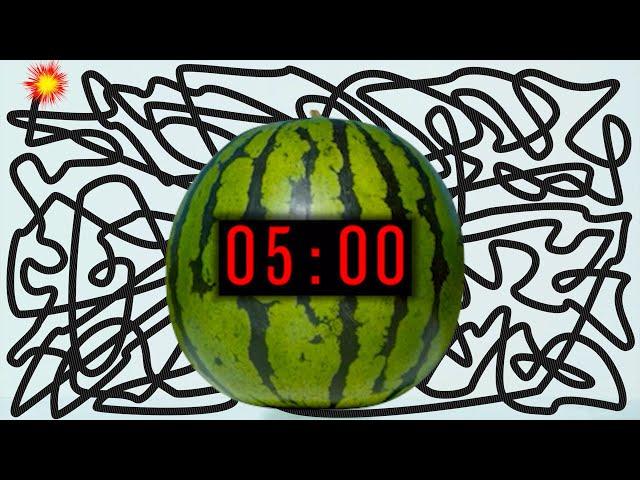 5 Minute Timer Bomb [WATERMELON] 