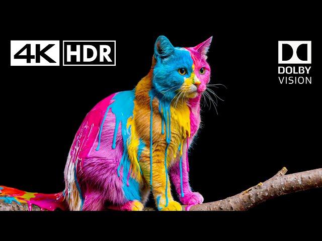 Fabulous Dolby Vision Demo 4K HDR 60fps - 4K Video ULTRA HD