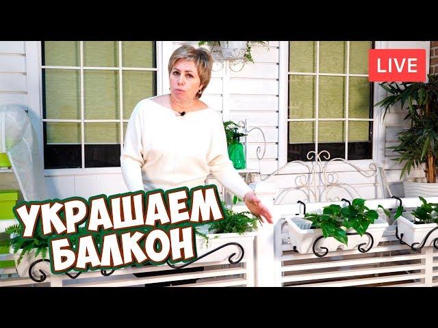 ЛЕТНИЙ САД НА БАЛКОНЕ  Как украсить балкон? Где купить балконные ящики?