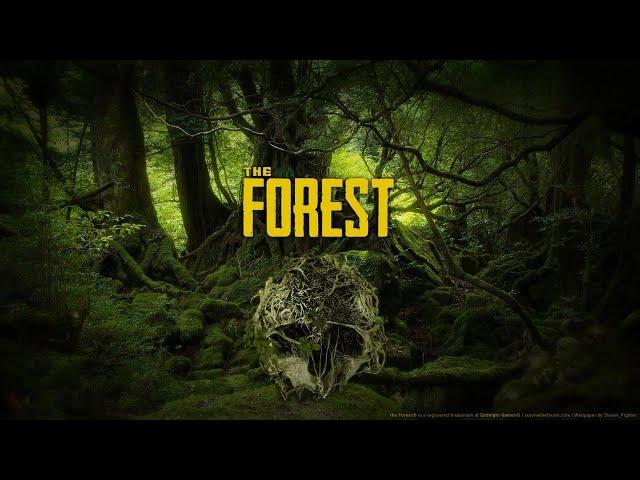 THE FOREST WITH PhatoFX and Serengae