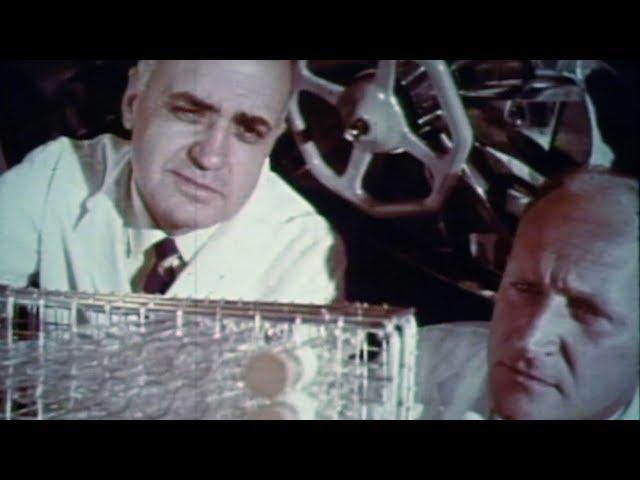HILLEMAN - Mumps segment - Vaccine Makers Project