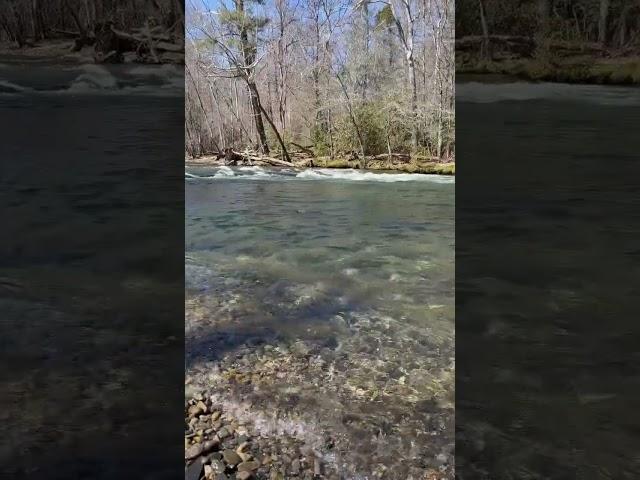 Oconaluftee river at the great smoky mountains national park