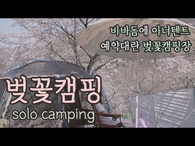 4K 예약대란 벚꽃캠핑장에서 솔로캠핑 / 비바돔에 벙커돔이너텐트 / 밀양패밀리캠핑장 / 갬성은 이케아 삼쇠파라솔이 다했다 / 카르닉윈드스크린 / 핑크하이브로우