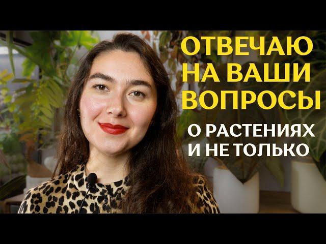 САМОЕ дорогое РАСТЕНИЕ в коллекции | кем РАБОТАЮ на САМОМ ДЕЛЕ | про любимые УДОБРЕНИЯ, ГРУНТ и КОТА