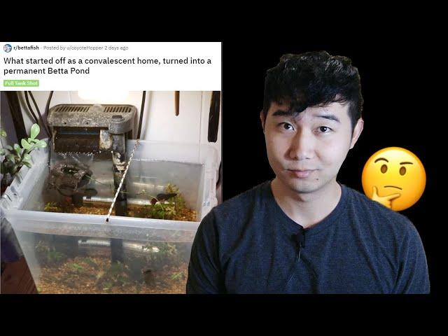 Is this a good fish tank FOR A BETTA? | Fish Tank Review 39