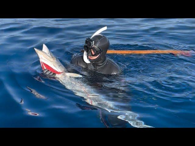 Pesca en barco hundido (Wahoo , Bicudas , Sierras)