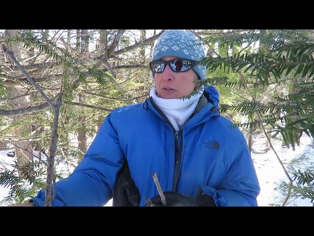 Nature Nerds Rule - Porcupine World