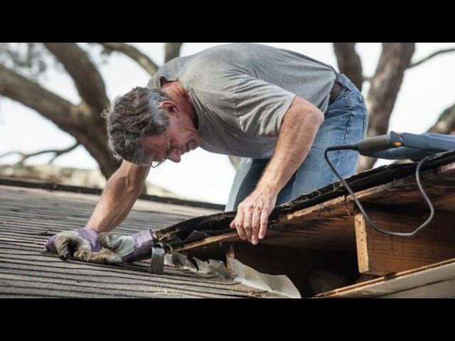 Rainier Roof Restoration - A Local Roofing Roofing Company