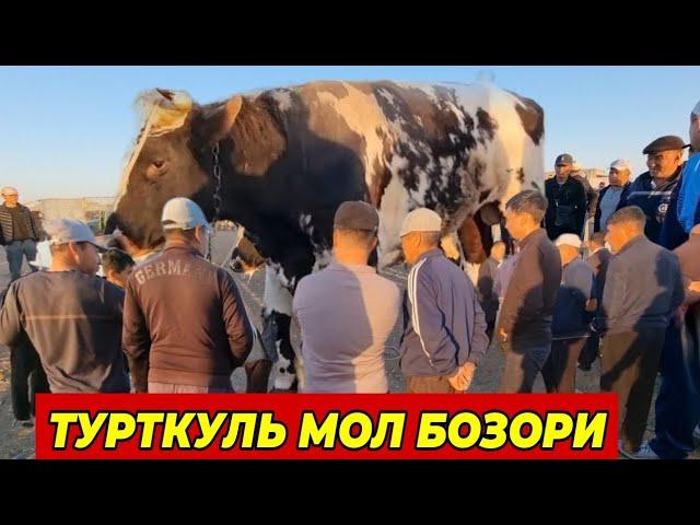 14 июля 2024 г. ТУРТКУЛЬ МОЛ БОЗОР НАРХЛАРИ