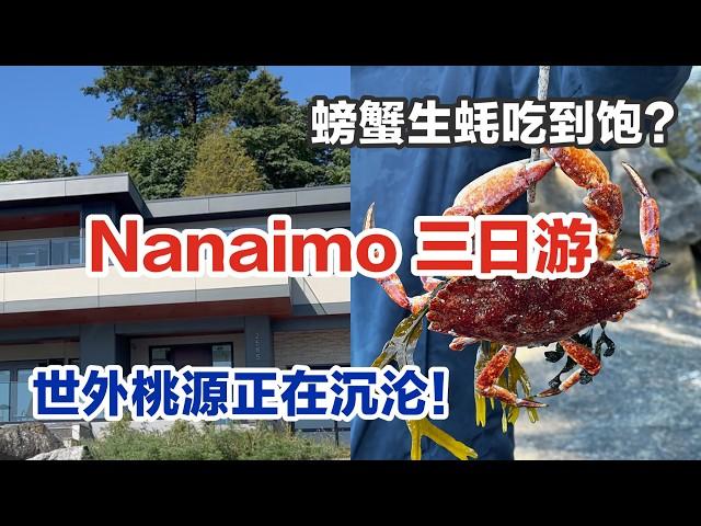 我们回来啦！ 温哥华岛Nanaimo｜民宿地下室也能看海景|岛上homeless 问题也这么严重？