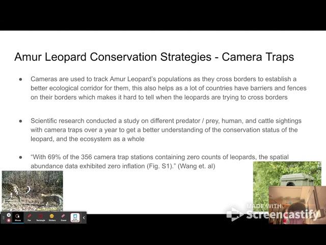 Amur Leopard Conservation TED Talk