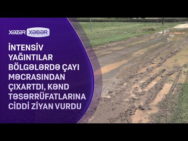 İntensiv yağıntılar bölgələrdə çayı məcrasından çıxartdı, kənd təsərrüfatlarına ciddi ZİYAN VURDU