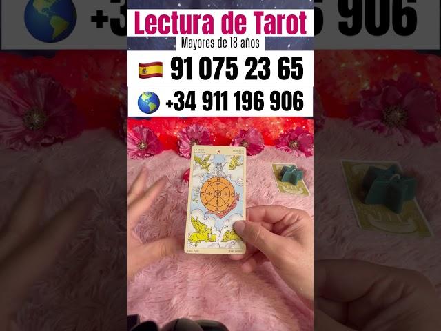 ELIGE UNA CARTA y DESCUBRE TU FUTURO INMEDIATO  Tarot Interactivo Canalización