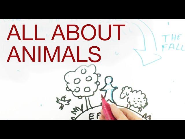 ALL ABOUT ANIMALS explained by Hans Wilhelm