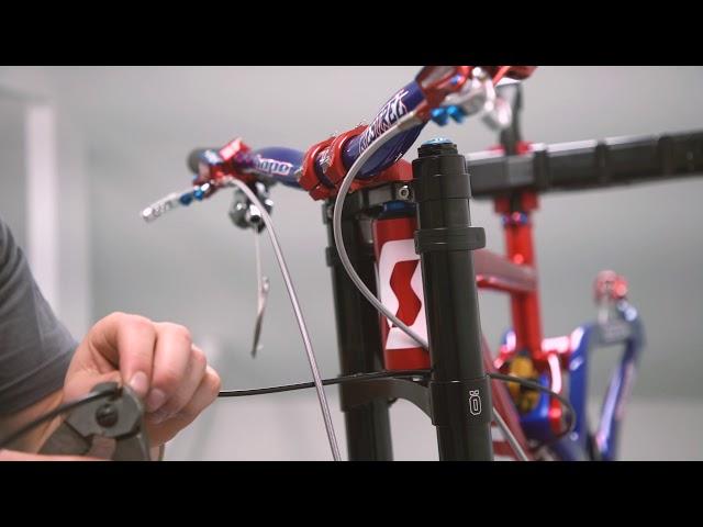 Hope Technology Bike Build: Adam Brayton's World Champs Gambler