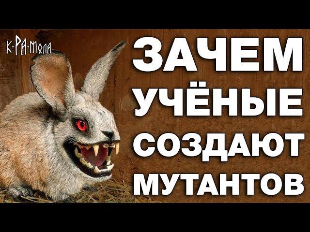 ТОП 7 ЖИВОТНЫХ СОЗДАННЫХ ЧЕЛОВЕКОМ. ЗАЧЕМ УЧЁНЫМ БИОРОБОТЫ - МУТАНТЫ. ШОКИРУЮЩИЕ НАУЧНЫЕ ОПЫТЫ С ДНК