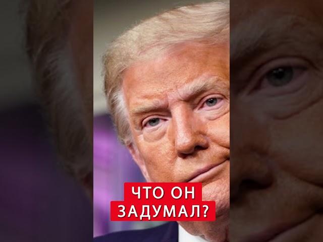 ️ШЕЙТЕЛЬМАН: Слили тайный план Трампа #shorts